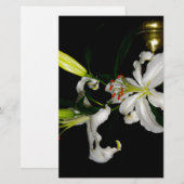 Papeterie Design Irlandais-La Collection Fleur (Devant / Derrière)