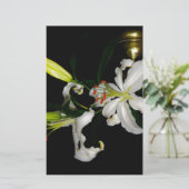 Papeterie Design Irlandais-La Collection Fleur (Debout devant)