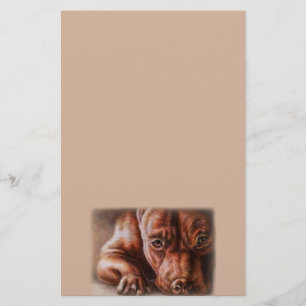 Papeterie Dessin Brown de visage de pitbull de chien de