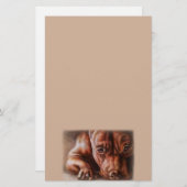 Papeterie Dessin Brown de visage de pitbull de chien de (Devant / Derrière)