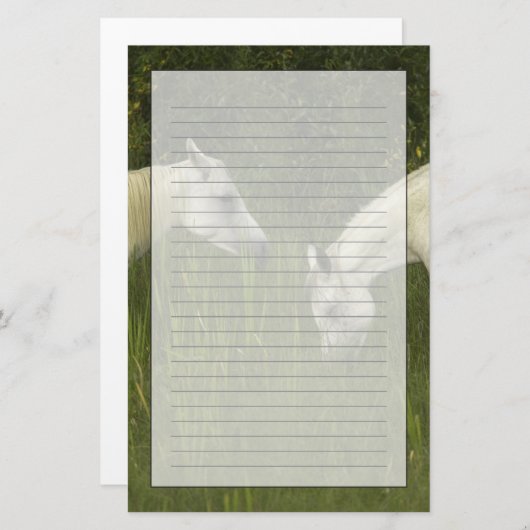 Papeterie Deux chevaux mangeant l'herbe (Devant / Derrière)