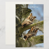 Papeterie Deux hiboux dans les bois, oiseaux, faune (Devant / Derrière)