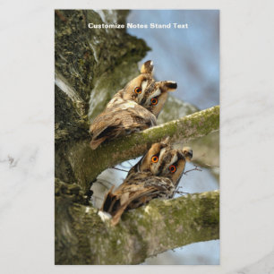 Papeterie Deux hiboux dans les bois, oiseaux, faune