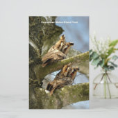 Papeterie Deux hiboux dans les bois, oiseaux, faune (Debout devant)