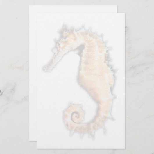 Papeterie d'hippocampe (Devant / Derrière)