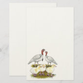 Papeterie Dinde Mini Blanche Famille (Devant / Derrière)