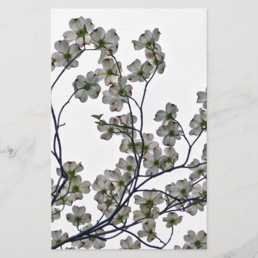 Papeterie Dogwood à fleurs blanches (Devant)