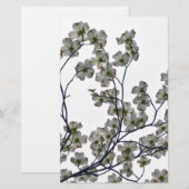 Papeterie Dogwood à fleurs blanches (Devant / Derrière)