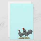 Papeterie Dominique Chickens (Devant / Derrière)