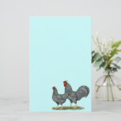 Papeterie Dominique Chickens (Debout devant)