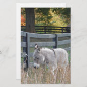 Papeterie Donkey dans un champ d'automne (Devant / Derrière)