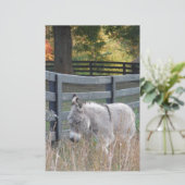 Papeterie Donkey dans un champ d'automne (Debout devant)