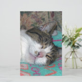 Papeterie Dormir de miel (Debout devant)