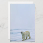 Papeterie d'ours blanc (Devant / Derrière)