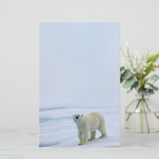 Papeterie d'ours blanc (Debout devant)