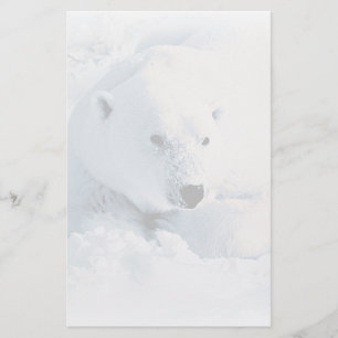 Papeterie d'ours blanc et de neige