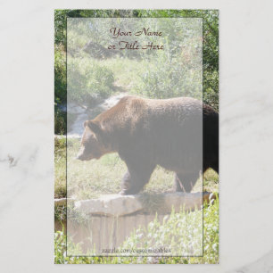 Papeterie d'ours gris