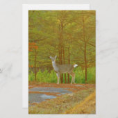 PAPETERIE DSCF4041.JPG (Devant / Derrière)