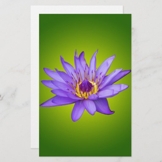 Papeterie Eau Lily Étang Aquatique Purple Fleurit (Devant / Derrière)