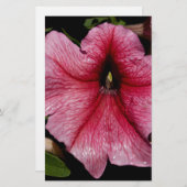 Papeterie Éclosion florale (Devant / Derrière)