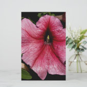 Papeterie Éclosion florale (Debout devant)