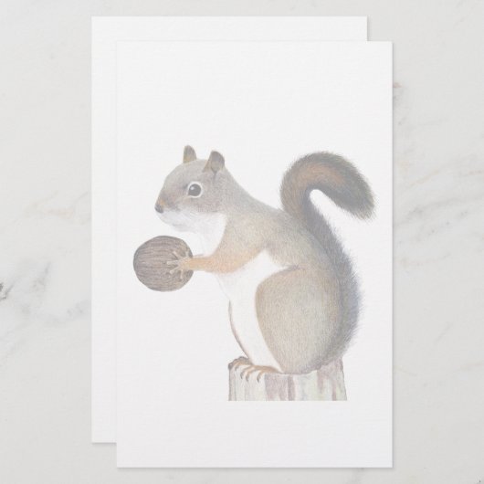 Papeterie Écureuil (Devant / Derrière)