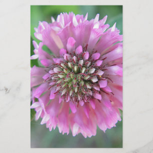Papeterie Einzigartige rosa Blüte