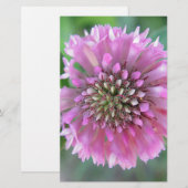 Papeterie Einzigartige rosa Blüte (Devant / Derrière)