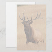 Papeterie élans (Devant / Derrière)