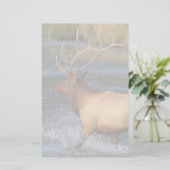 Papeterie élans (Debout devant)