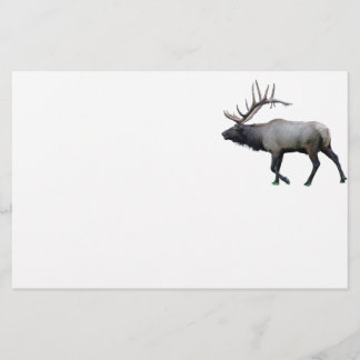 Papeterie Élans de wapiti de saule
