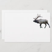 Papeterie Élans de wapiti de saule (Devant / Derrière)