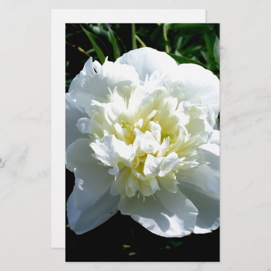 Papeterie Elégant blanc peony floral blanc photo (Devant / Derrière)