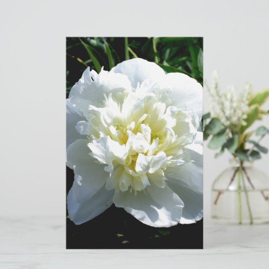 Papeterie Elégant blanc peony floral blanc photo (Debout devant)