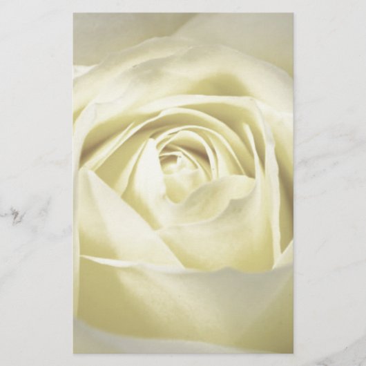 Papeterie Élégant Rose de crème (Devant)
