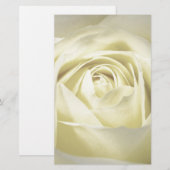 Papeterie Élégant Rose de crème (Devant / Derrière)
