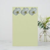 Papeterie Élégante floraison d'orchidées blanches (Debout devant)