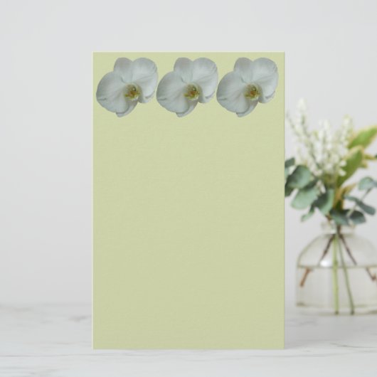 Papeterie Élégante floraison d'orchidées blanches (Debout devant)