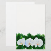 Papeterie Elégante peinture d'orchidée tropicale blanche (Devant / Derrière)