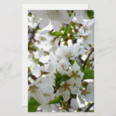 Papeterie Elégante photo de fleurs florales blanches (Devant / Derrière)