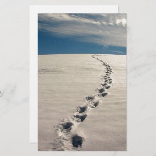 Papeterie Empreintes dans le sable (Devant / Derrière)