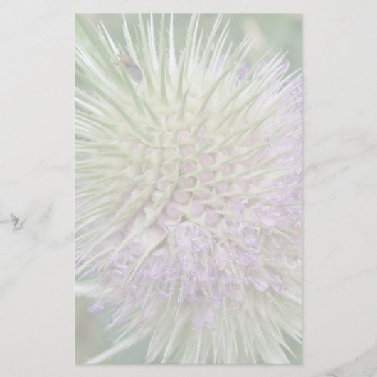 Papeterie en herbe sauvage (Devant)