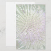 Papeterie en herbe sauvage (Devant / Derrière)