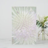 Papeterie en herbe sauvage (Debout devant)