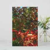 Papeterie Érable japonais, arbre d'automne feuilles (Debout devant)