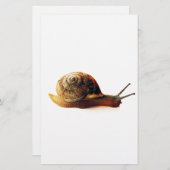 Papeterie escargot (Devant / Derrière)