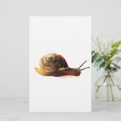 Papeterie escargot (Debout devant)