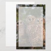 Papeterie Etats-Unis, Floride, Zones Humides de Viera. Trois (Devant / Derrière)