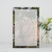 Papeterie Etats-Unis, Floride, Zones Humides de Viera. Trois (Debout devant)