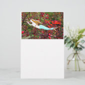 Papeterie étoile portant mermaid (Debout devant)